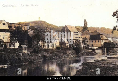 Freiberger Mulde in Roßwein, Buildings in Roßwein, 1908, Landkreis Mittelsachsen, Roßwein, An der Mulde, Germany Stock Photo