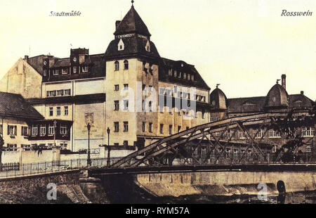 Bridges in Roßwein, Postcards of bridges in Roßwein, Buildings in Roßwein, Freiberger Mulde in Roßwein, Mills in Landkreis Mittelsachsen, 1919, Landkreis Mittelsachsen, Roßwein, Stadtmühle und Brücke, Germany Stock Photo