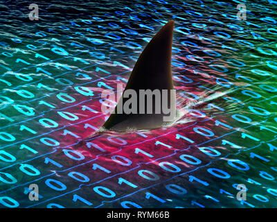 Shark swimming in a sea of digital information. 3D illustration. Stock Photo