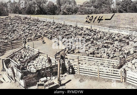 Stock Ranch Pendleton, Oregon. Stock Ranch Stock Photo - Alamy