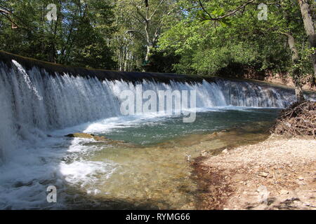 Cascade et forêt Stock Photo