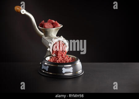 Fresh red meat mincing for dog food through old manual meat grinder into black dog bowl. Viewed against black background with copy space Stock Photo