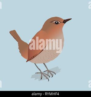 A vector illustration af an Eurasian wren Stock Vector