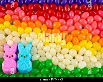 Easter candy:  A pink and a blue marshmallow candy bunny surrounded by jelly beans arranged in a rainbow. Stock Photo