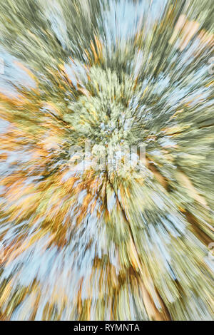 Abstract background made of motion blurred trees, color toning applied. Stock Photo