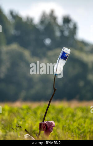 Plastic bottle on the field. Bottle is glass or plastic container with a narrow neck, used for storing drinks or other liquids. Stock Photo