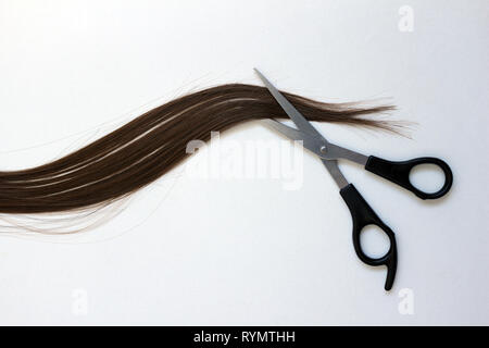 A pair of hairdressing scissors cutting a lock of auburn brown hair. Stock Photo