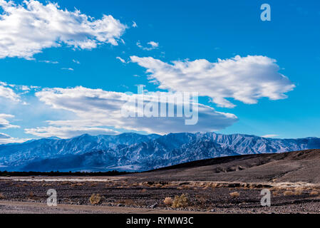 Barren desert landscape with sparse vegetation and blue mountains beyond under bright blue skies with white fluffy clouds. Stock Photo