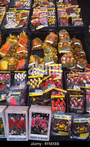 geef de bloem water Idioot Kennis maken Tulip and other Dutch flower bulbs packaged in mesh bags, plastic sacks or  cardboard boxes are sold at an outdoor market in Amsterdam, the largest  city in the Netherlands. Each package is