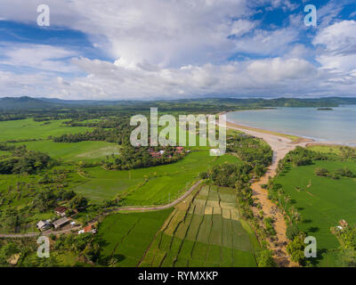 Lush and fertile rice fields in the edge of the sea and a river flows to the sea. Ciletuh - Palabuhanratu Geopark. Stock Photo