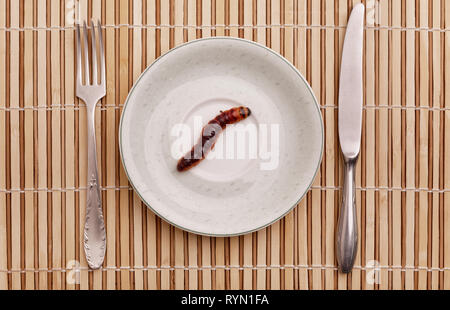 Goat Moth (Cossus cossus) caterpillar on plate, food concept Stock Photo