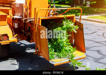 Using chipper machine to remove and chainsaw tree branches portable machine used Stock Photo