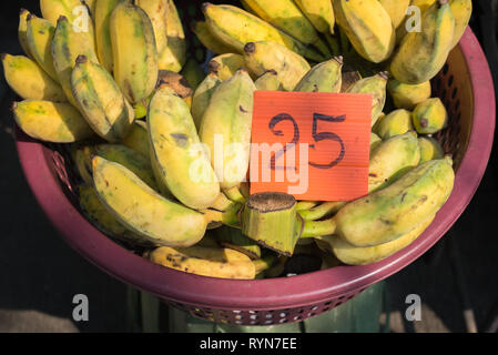 Bananas in a plastic basket with price tag 25 (Thai baht) lit with sun at market. Stock Photo