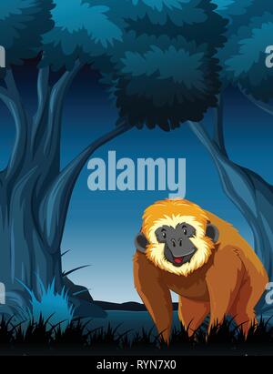 Monkey on night forest illustration Stock Vector