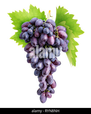 Branch of grapes isolated on white background. Clipping path Stock Photo