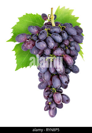 Branch of grapes isolated on white background. Clipping path Stock Photo