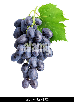 Branch of grapes isolated on white background. Clipping path Stock Photo