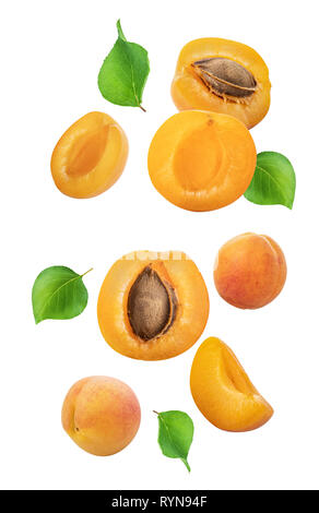 Falling apricots isolated on white background. Clippin path Stock Photo
