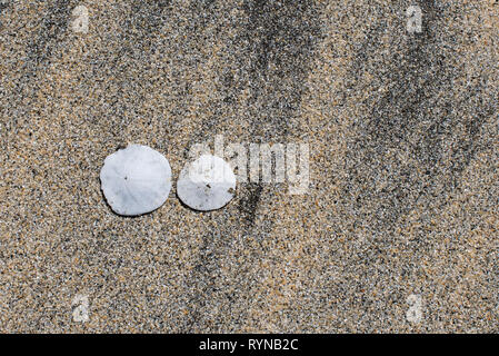 Beautiful summer day at Sand Dollar Beach in Big Sur, California on the Pacific Ocean. Stock Photo