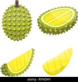 Durian icons set, isometric style Stock Vector
