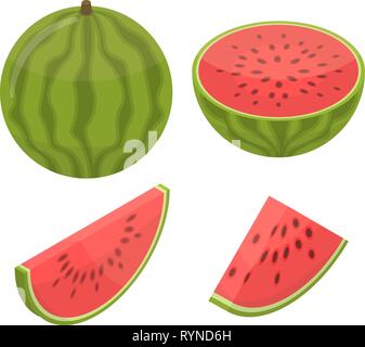 Watermelon icons set, isometric style Stock Vector