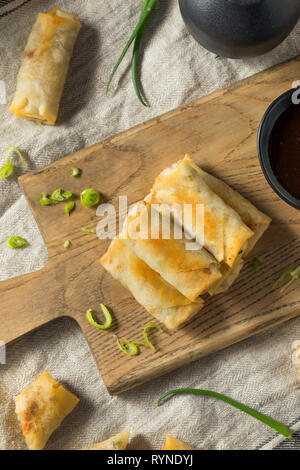 Homemade Fried Vegetable Egg Rolls Ready to Eat Stock Photo