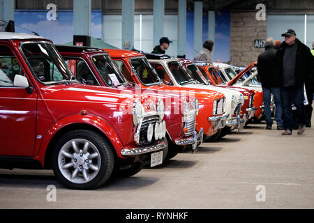 Classic Mini cars on show at Three Counties Showground, Malvern, Worcestershire, England, UK. Stock Photo