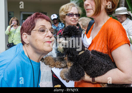Miami Florida,Temple Israel,Bow Wow Palooza Interfaith Blessing of the Animals,owner,dog dogs,pet pets,Black Blacks African Africans ethnic minority,P Stock Photo