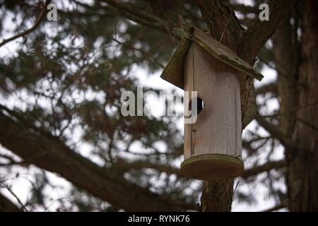 Birdhouse hanging from a tree. Stock Photo