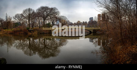 Panoramic Central Park View in Fall Stock Photo