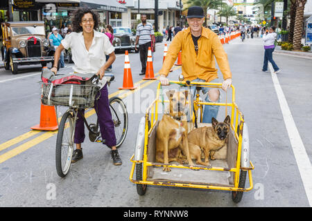 Miami Florida,Flagler Street,Bike Miami Days,community woman female women,man men male,dog,pet,bicycle,bicycling,riding,biking,rider,cart,basket,troll Stock Photo