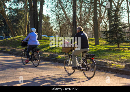 elderly couple cycling in the park with a dog. The dog sits in a basket with a man on a bicycle. Stock Photo