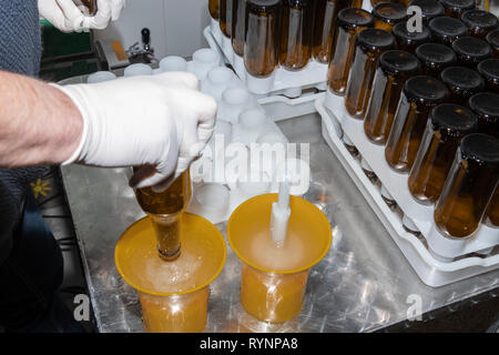 manual washing of beer bottles in a craft factory Stock Photo