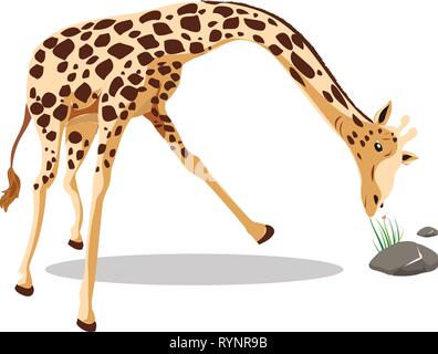 Cute giraffe vector illustration isolated on white background Stock Vector