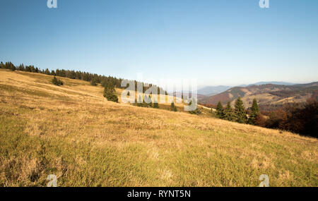 Hala na Malej Raczy mountain meadow with hills around and clear sky in autumn Beskid Zywiecki mountains in Poland near borders with Slovakia Stock Photo