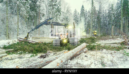 Logs scattered on the ground on the forest with the log grappler truck gettings logs Stock Photo