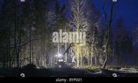 The light from the log harvester in the forest with the logs all over the ground Stock Photo
