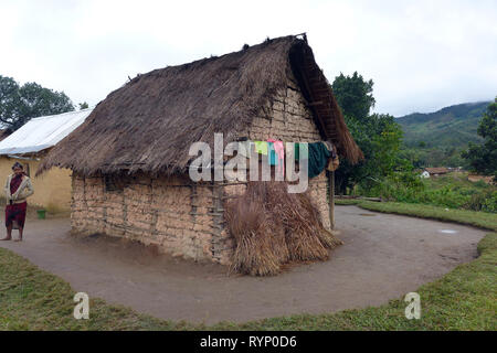 Traditionally built house in the Highlands of Madagascar near Ranomafana Stock Photo
