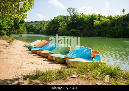 Pedal boats at Lagoa Azul, beautiful lagoon surrounded by preserved Atlantic Forest on Itamaraca island, Brazil Stock Photo