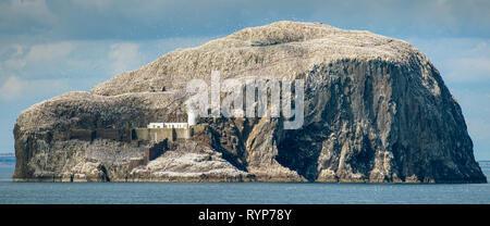 The Bass Rock from Tantallon Castle.  Near North Berwick, East Lothian, Scotland, UK Stock Photo