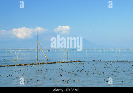 Ariake Sea Stock Photo