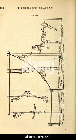 Elementary anatomy and physiology  Elementary anatomy and physiology : for colleges, academies, and other schools . elementaryanato00hitc Year: 1869 Stock Photo