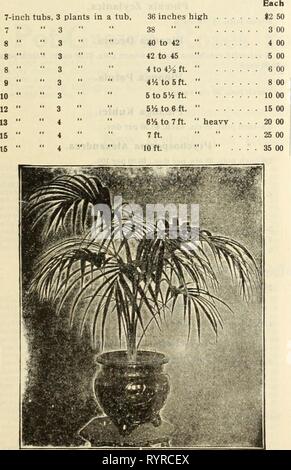 Dreer's wholesale price list  Dreer's wholesale price list : decorative and other plants for florists, bulbs for forcing, seasonable flower seeds, florists' requisites, etc . dreerswholesalep1915henr 0 Year: 1915 Stock Photo