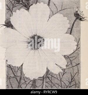 . Book for florists spring 1940. Flowers Seeds Catalogs; Bulbs