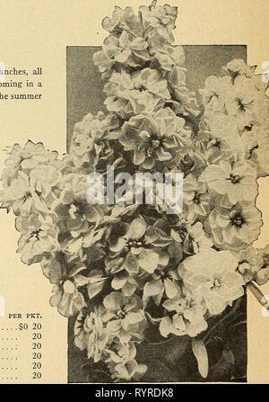 . Dreer's midsummer list 1926 . Flower Holder GRAPE BAGS Wired Grape ...