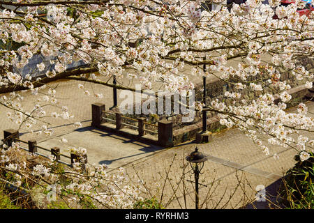 Misumi West Port in Spring, Kumamoto Prefecture, Japan Stock Photo