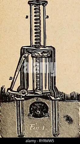 Dreer's midsummer list 1920 (1920) Dreer's midsummer list 1920 . dreersmidsummerl1920henr Year: 1920  Eureka Weeder F Dock or Weed Lifter    Steel Sfud Ol-MSTEAD S Trap Mole Stock Photo