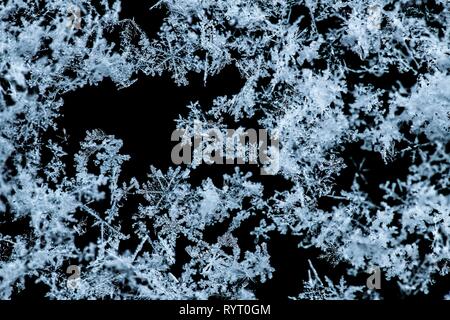 Snowflakes, ice crystals against a dark background, Bavaria, Germany Stock Photo