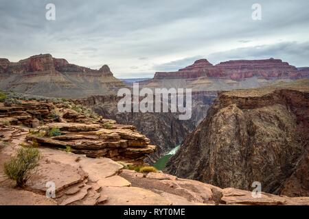 View from Plateau Point in the gorge of the Grand Canyon to the Colorado River, eroded rocky landscape, South Rim Stock Photo