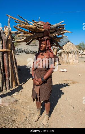Himba woman carrying wood on her head, Kaokoland, Namibia Stock Photo